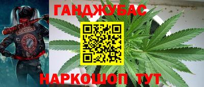 гашик Нягань