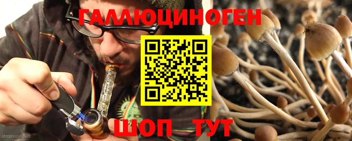 Сочи  Галлюциногенные грибы прущие грибы  Вход с VPN  Галлюциногенные грибы GOLDEN TEACHER 