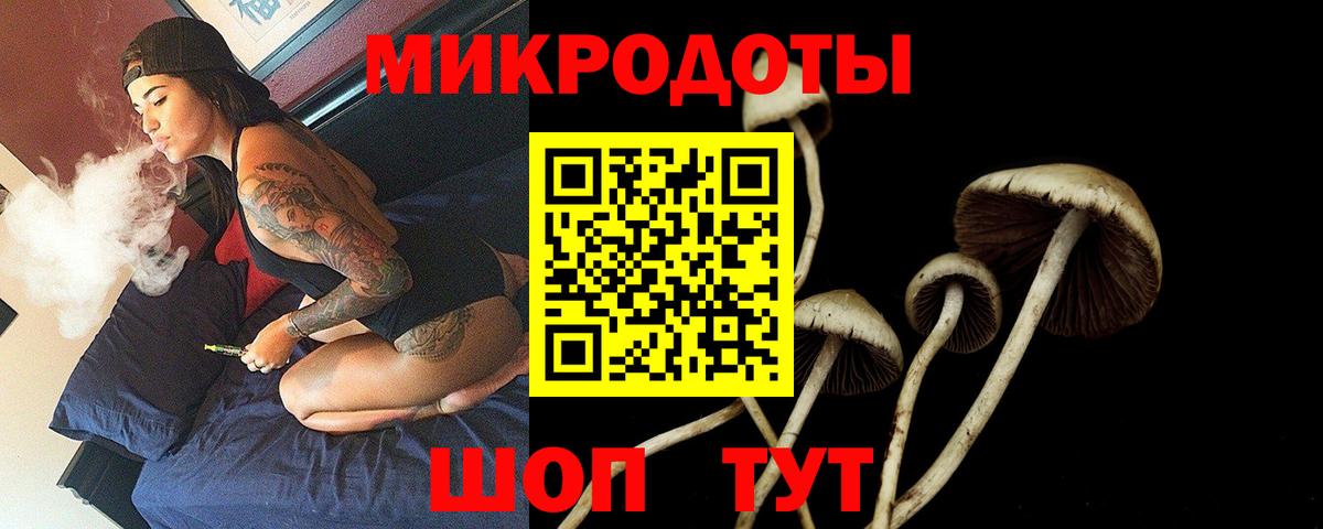 Псилоцибиновые грибы MAGIC MUSHROOMS Сочи